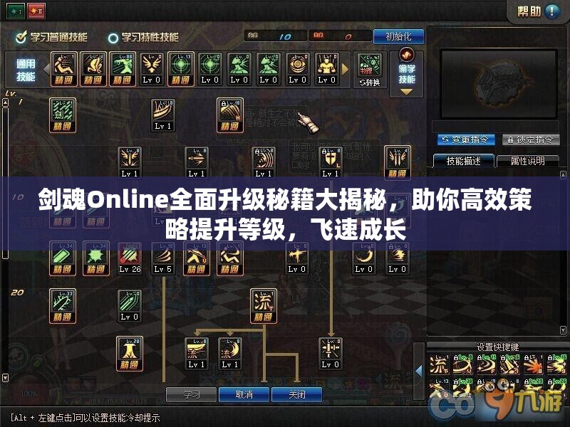 剑魂Online全面升级秘籍大揭秘，助你高效策略提升等级，飞速成长