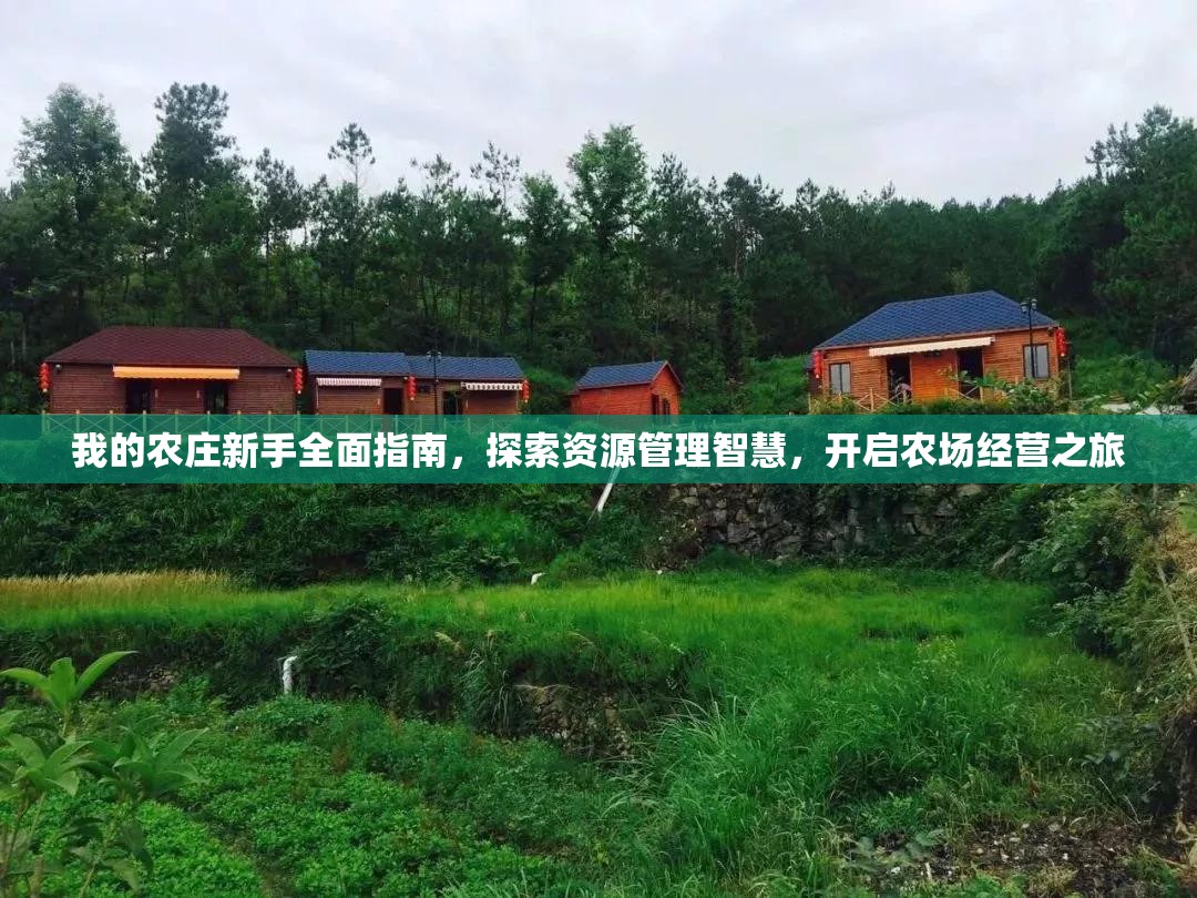 我的农庄新手全面指南，探索资源管理智慧，开启农场经营之旅