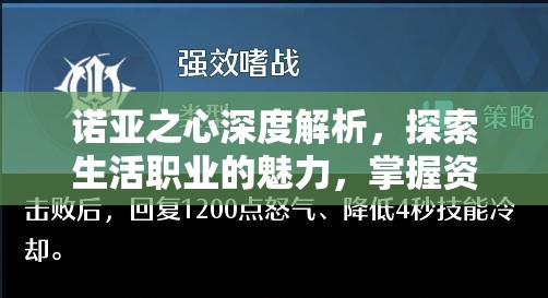 诺亚之心深度解析，探索生活职业的魅力，掌握资源管理的艺术之道
