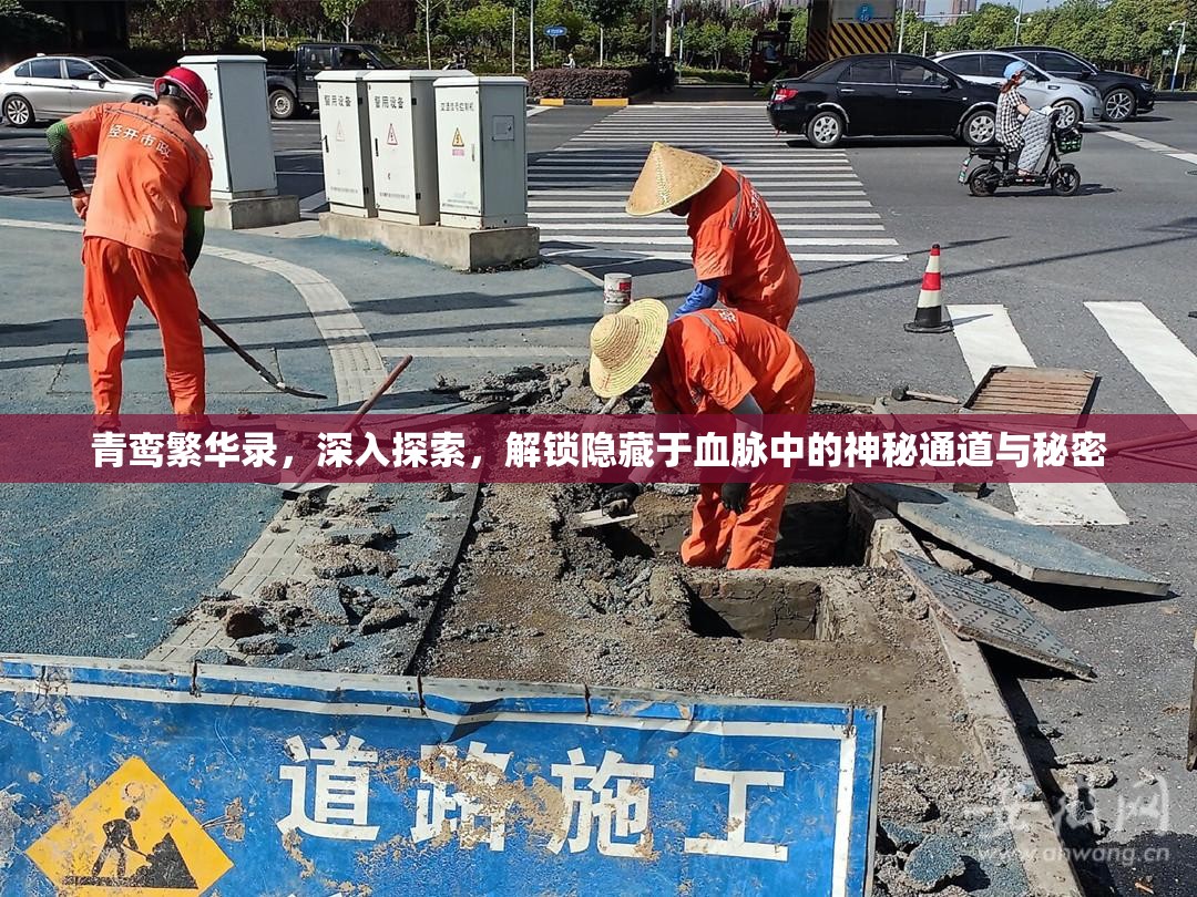 青鸾繁华录，深入探索，解锁隐藏于血脉中的神秘通道与秘密