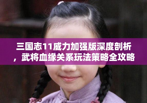 三国志11威力加强版深度剖析，武将血缘关系玩法策略全攻略