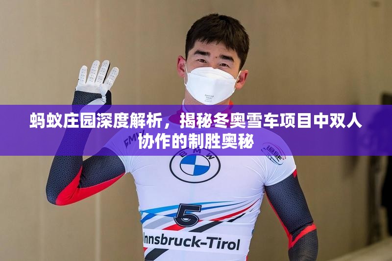 蚂蚁庄园深度解析，揭秘冬奥雪车项目中双人协作的制胜奥秘