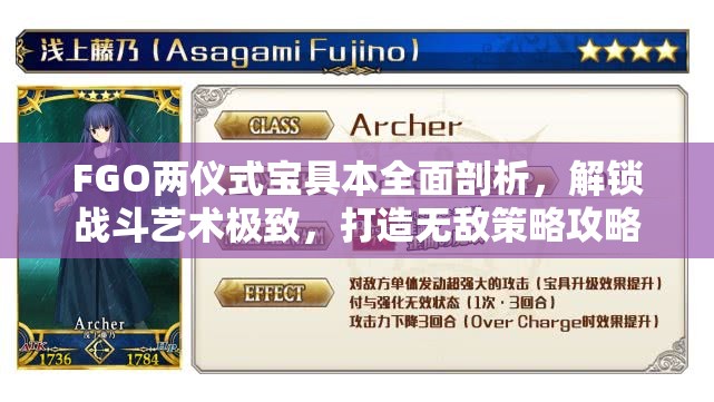 FGO两仪式宝具本全面剖析，解锁战斗艺术极致，打造无敌策略攻略