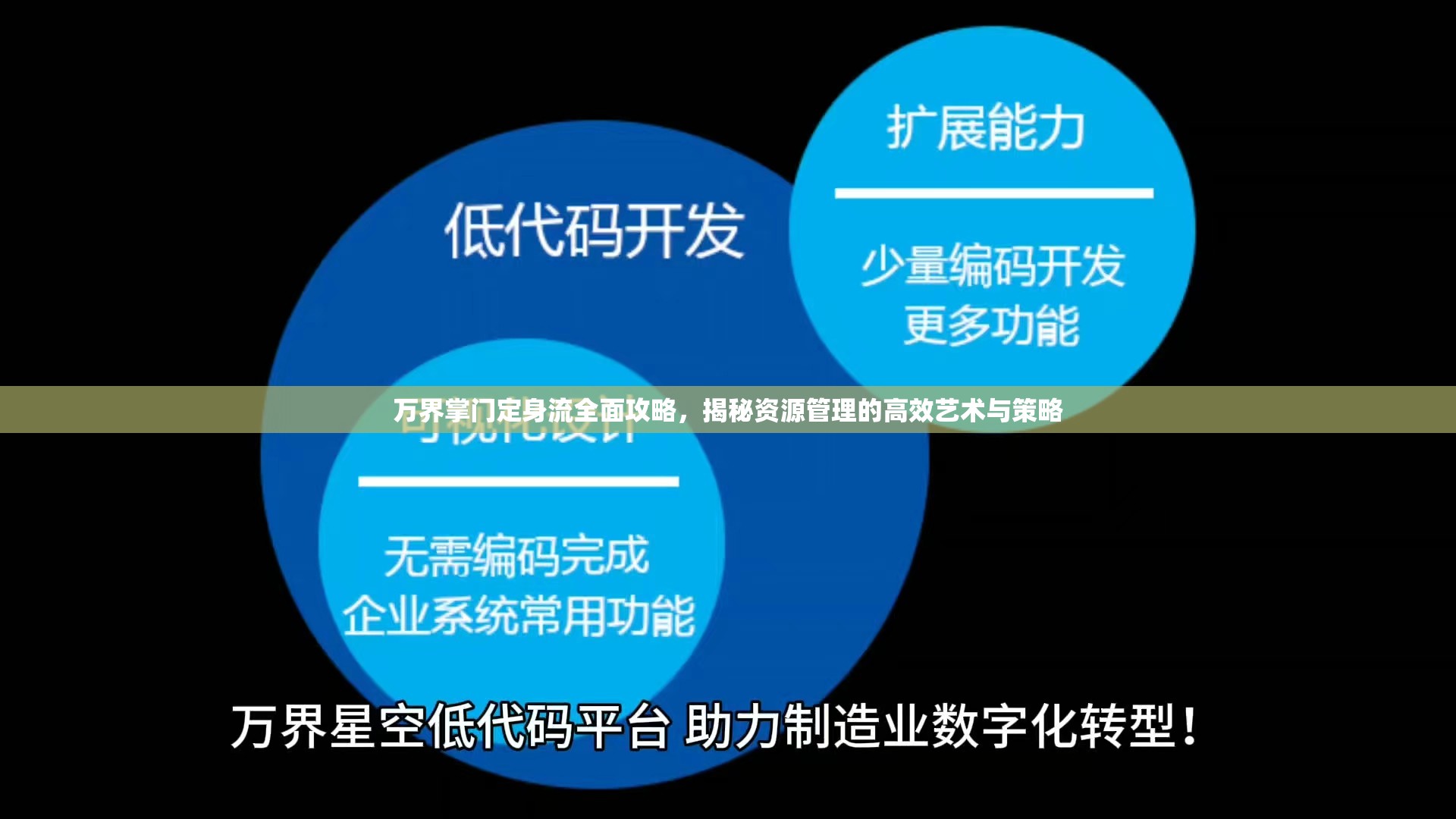 万界掌门定身流全面攻略，揭秘资源管理的高效艺术与策略