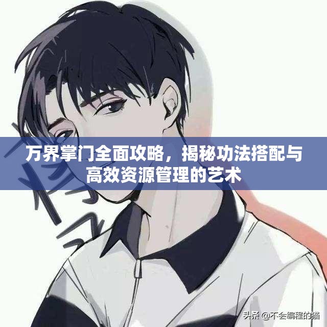 万界掌门全面攻略，揭秘功法搭配与高效资源管理的艺术