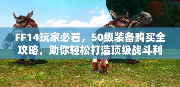 FF14玩家必看，50级装备购买全攻略，助你轻松打造顶级战斗利器