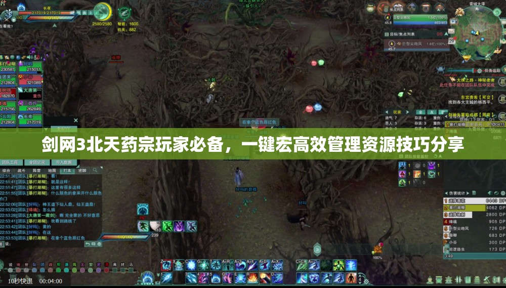 剑网3北天药宗玩家必备，一键宏高效管理资源技巧分享