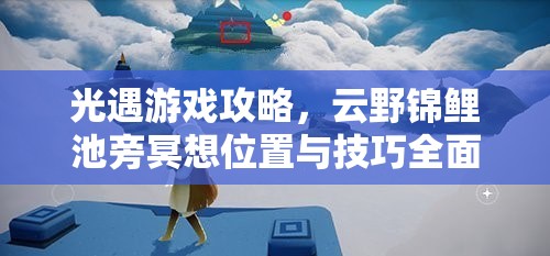 光遇游戏攻略，云野锦鲤池旁冥想位置与技巧全面详解