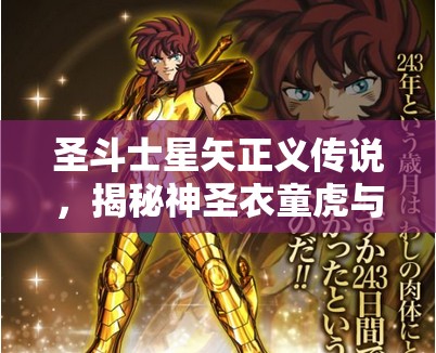 圣斗士星矢正义传说，揭秘神圣衣童虎与天秤座试炼中的资源管理策略与艺术