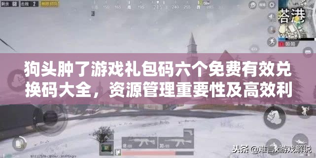 狗头肿了游戏礼包码六个免费有效兑换码大全，资源管理重要性及高效利用实战策略
