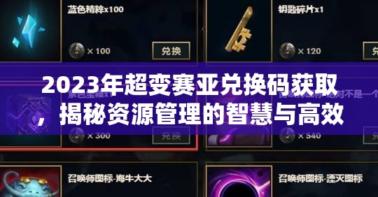 2023年超变赛亚兑换码获取，揭秘资源管理的智慧与高效策略