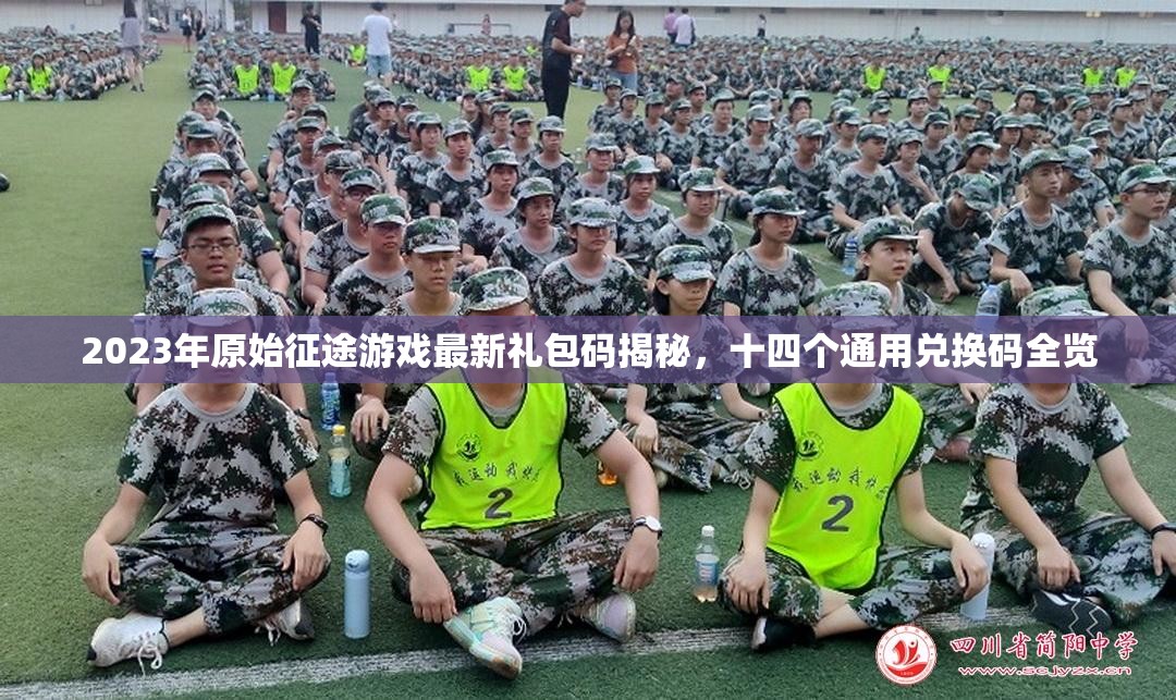 2023年原始征途游戏最新礼包码揭秘，十四个通用兑换码全览
