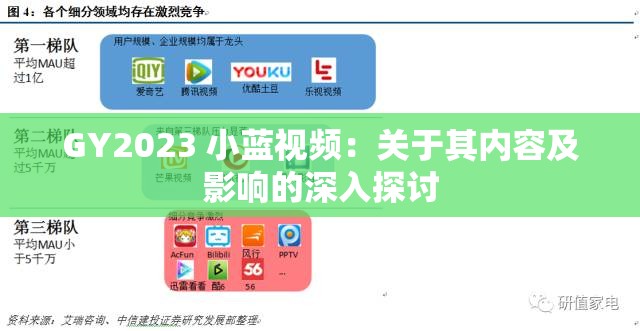 GY2023 小蓝视频：关于其内容及影响的深入探讨