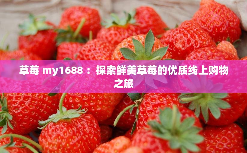 草莓 my1688 ：探索鲜美草莓的优质线上购物之旅