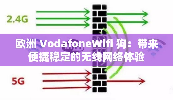 欧洲 VodafoneWifi 狗：带来便捷稳定的无线网络体验