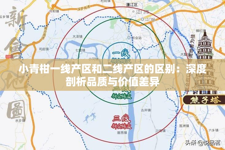 小青柑一线产区和二线产区的区别：深度剖析品质与价值差异