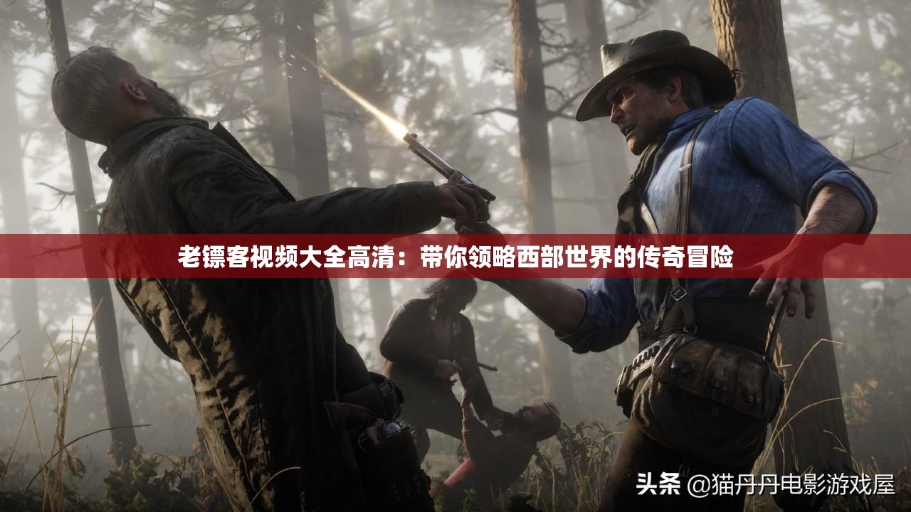 老镖客视频大全高清：带你领略西部世界的传奇冒险
