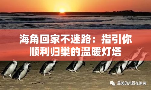 海角回家不迷路：指引你顺利归巢的温暖灯塔