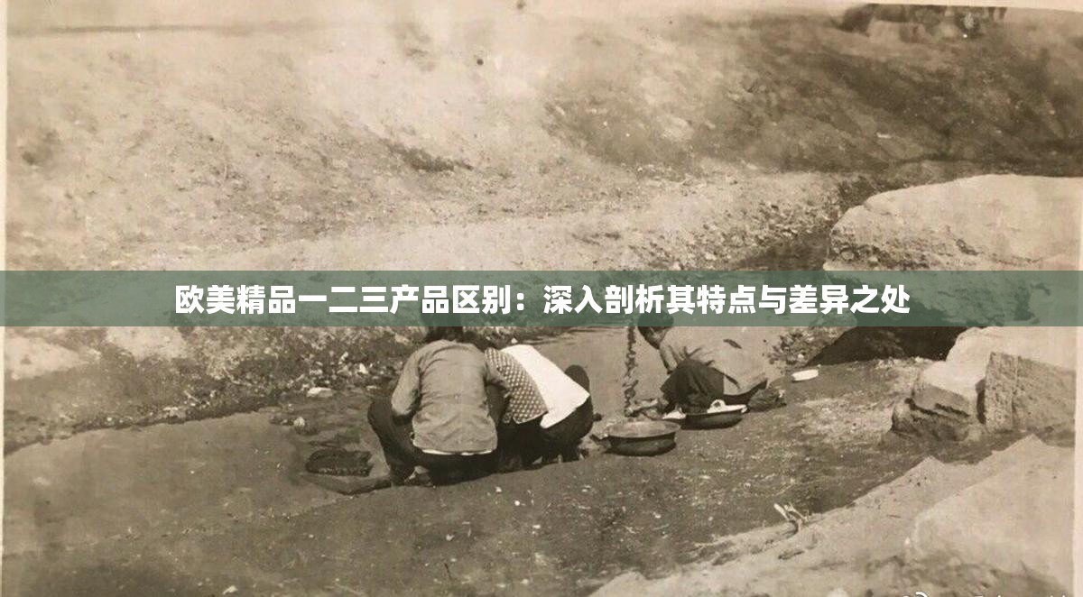 欧美精品一二三产品区别：深入剖析其特点与差异之处