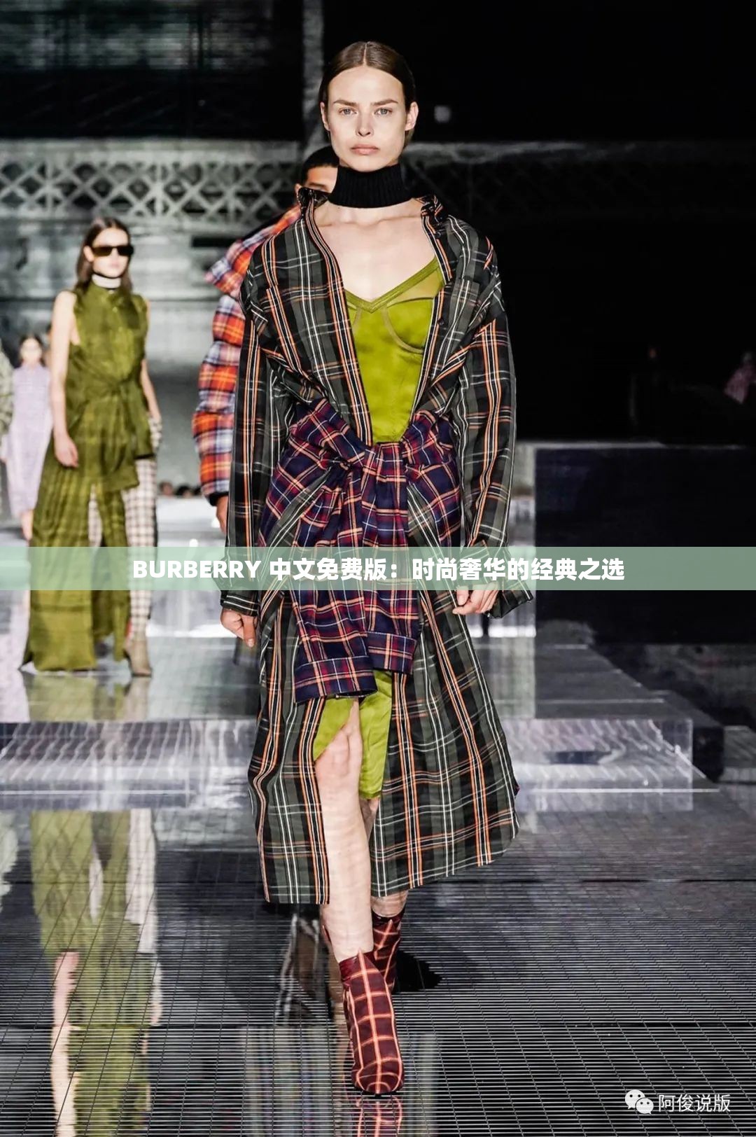 BURBERRY 中文免费版：时尚奢华的经典之选