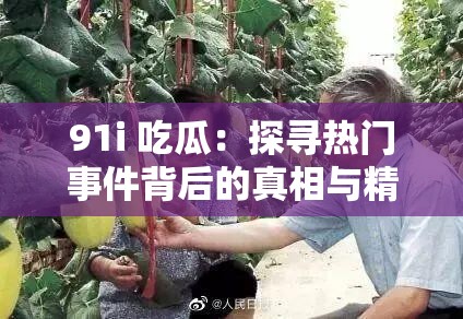 91i 吃瓜：探寻热门事件背后的真相与精彩瞬间