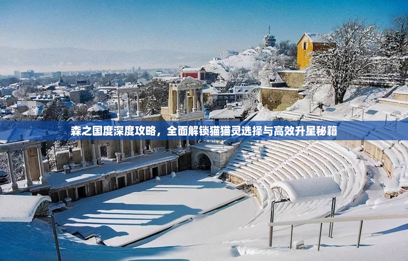 森之国度深度攻略，全面解锁猫猫灵选择与高效升星秘籍