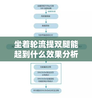 坐着轮流提双腿能起到什么效果分析：深度探究与科学解读
