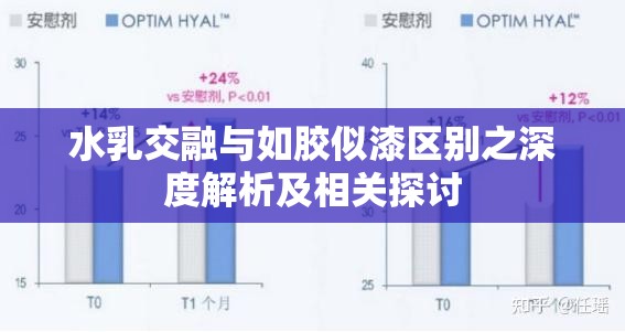 水乳交融与如胶似漆区别之深度解析及相关探讨