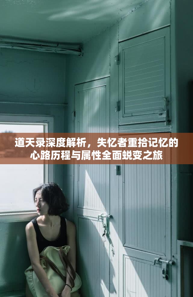 道天录深度解析，失忆者重拾记忆的心路历程与属性全面蜕变之旅