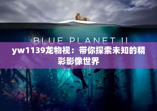 yw1139龙物视：带你探索未知的精彩影像世界