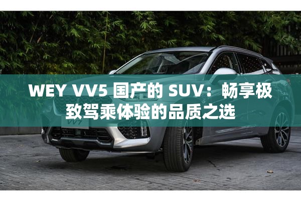WEY VV5 国产的 SUV：畅享极致驾乘体验的品质之选