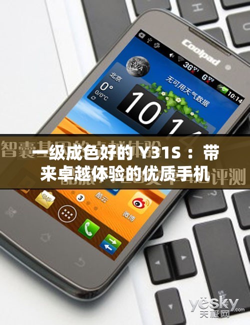 一级成色好的 Y31S ：带来卓越体验的优质手机