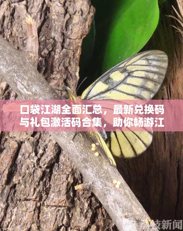 口袋江湖全面汇总，最新兑换码与礼包激活码合集，助你畅游江湖更顺畅无阻！