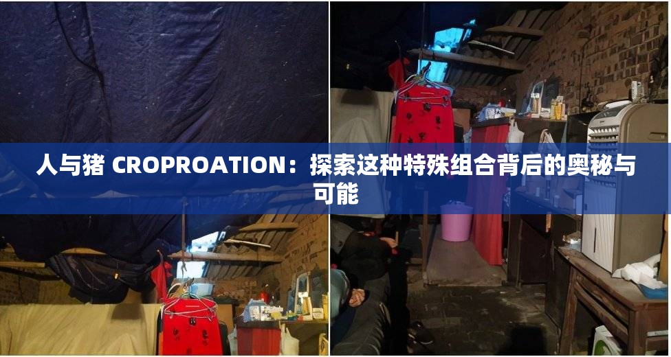 人与猪 CROPROATION：探索这种特殊组合背后的奥秘与可能