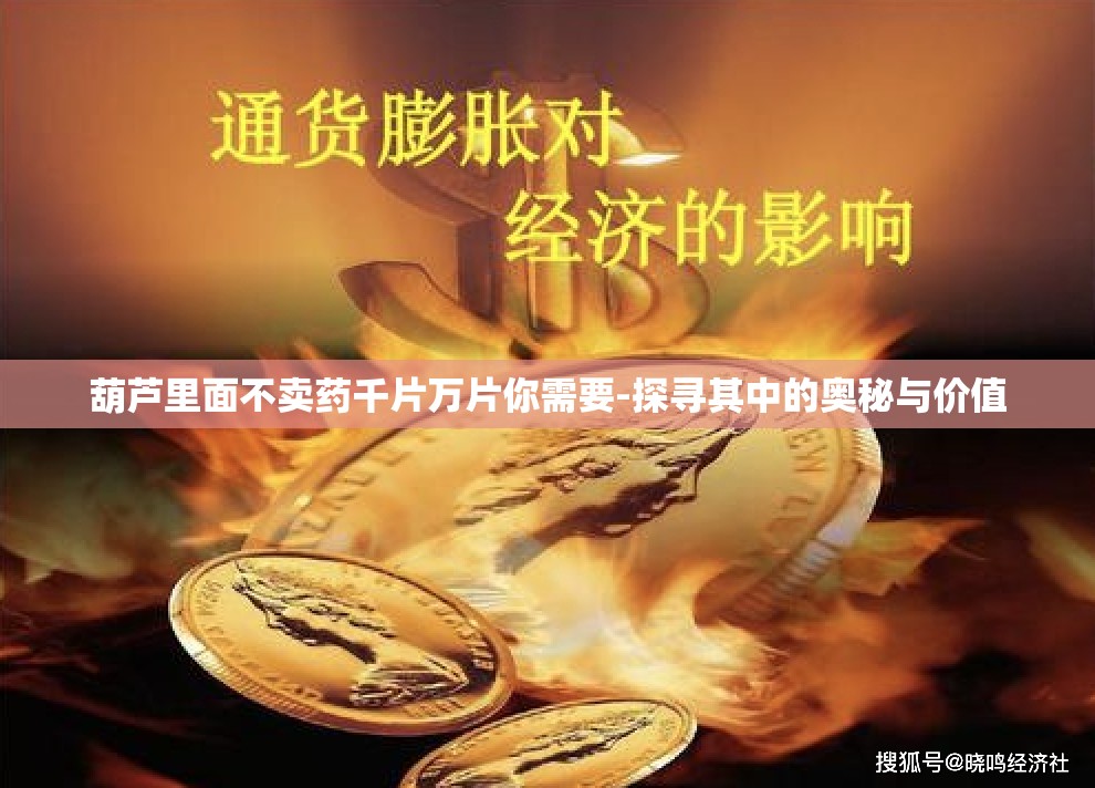 葫芦里面不卖药千片万片你需要-探寻其中的奥秘与价值