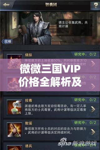 微微三国VIP价格全解析及资源管理高效优化策略指南