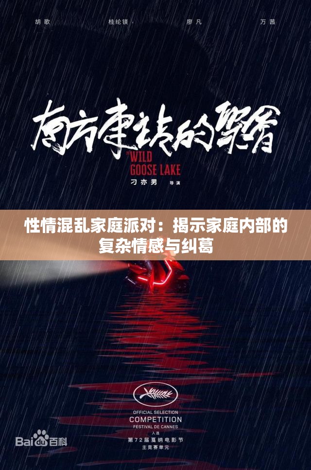 性情混乱家庭派对：揭示家庭内部的复杂情感与纠葛