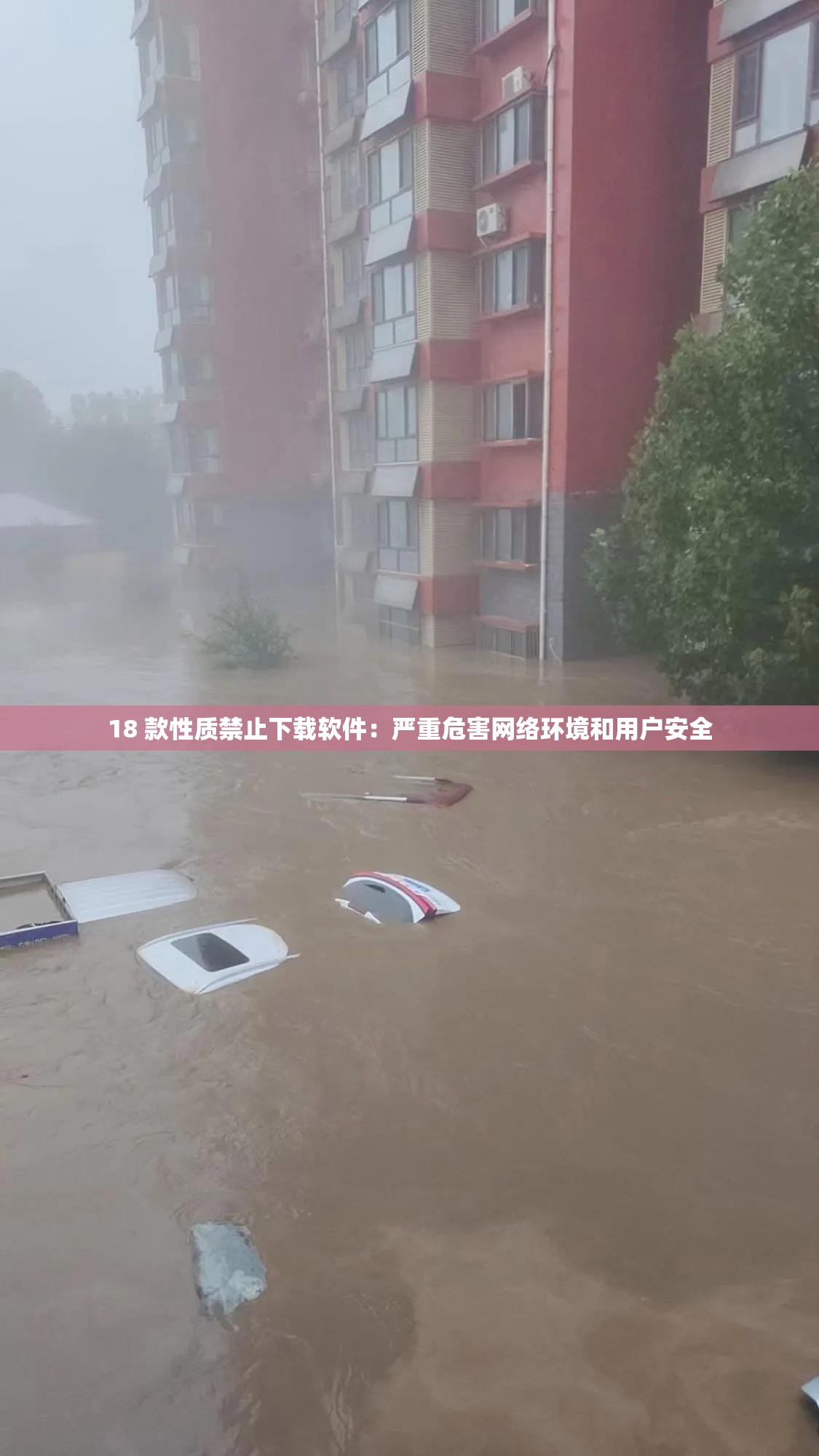 18 款性质禁止下载软件：严重危害网络环境和用户安全