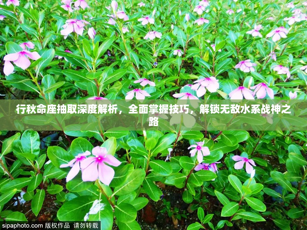 行秋命座抽取深度解析，全面掌握技巧，解锁无敌水系战神之路