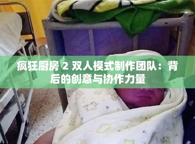 疯狂厨房 2 双人模式制作团队：背后的创意与协作力量