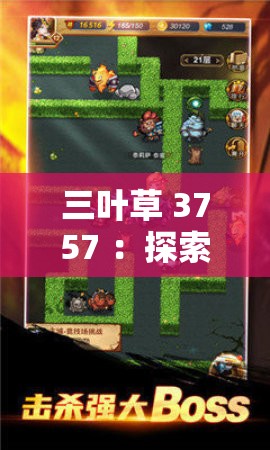 三叶草 3757 ：探索神秘的未知之旅由此开启