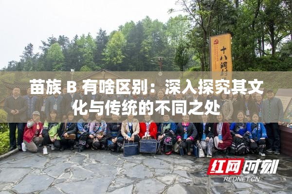 苗族 B 有啥区别：深入探究其文化与传统的不同之处