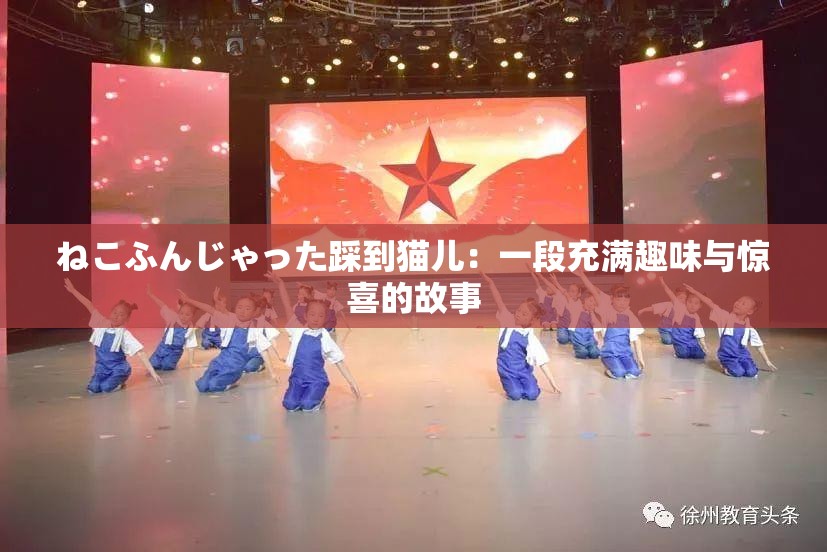 ねこふんじゃった踩到猫儿：一段充满趣味与惊喜的故事