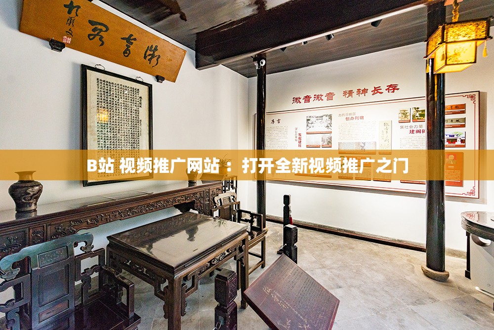 B站 视频推广网站 ：打开全新视频推广之门