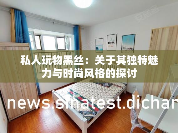 私人玩物黑丝：关于其独特魅力与时尚风格的探讨