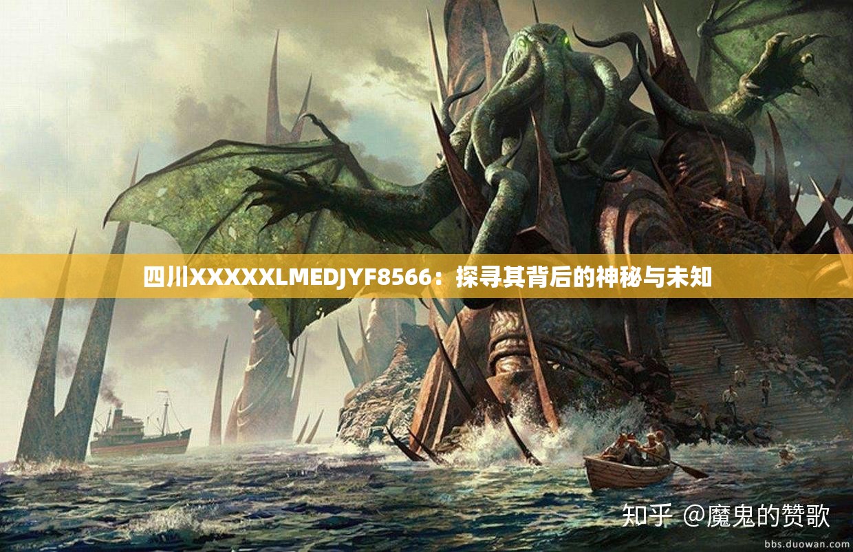 四川XXXXXLMEDJYF8566：探寻其背后的神秘与未知