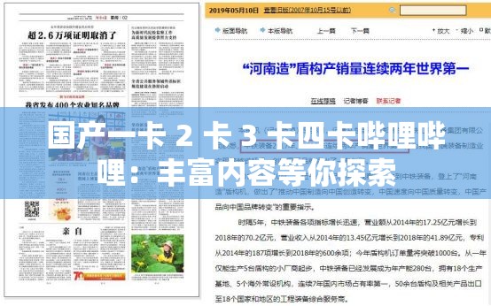 国产一卡 2 卡 3 卡四卡哔哩哔哩：丰富内容等你探索