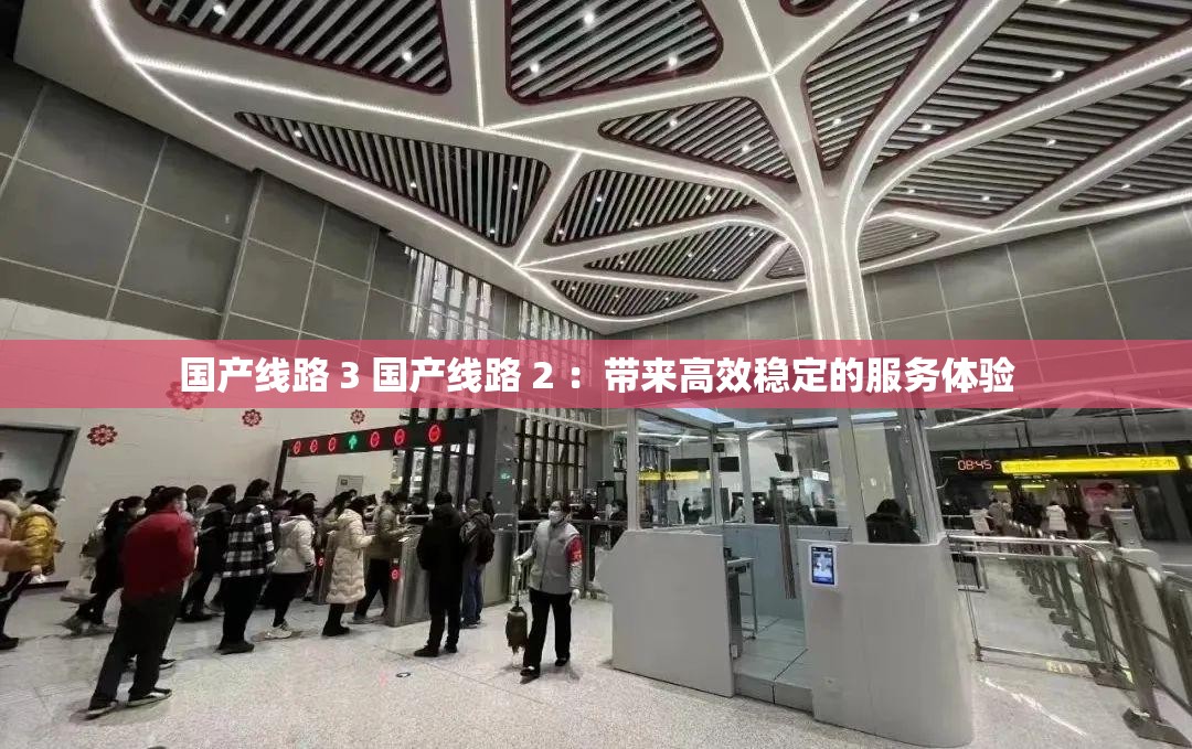 国产线路 3 国产线路 2 ：带来高效稳定的服务体验