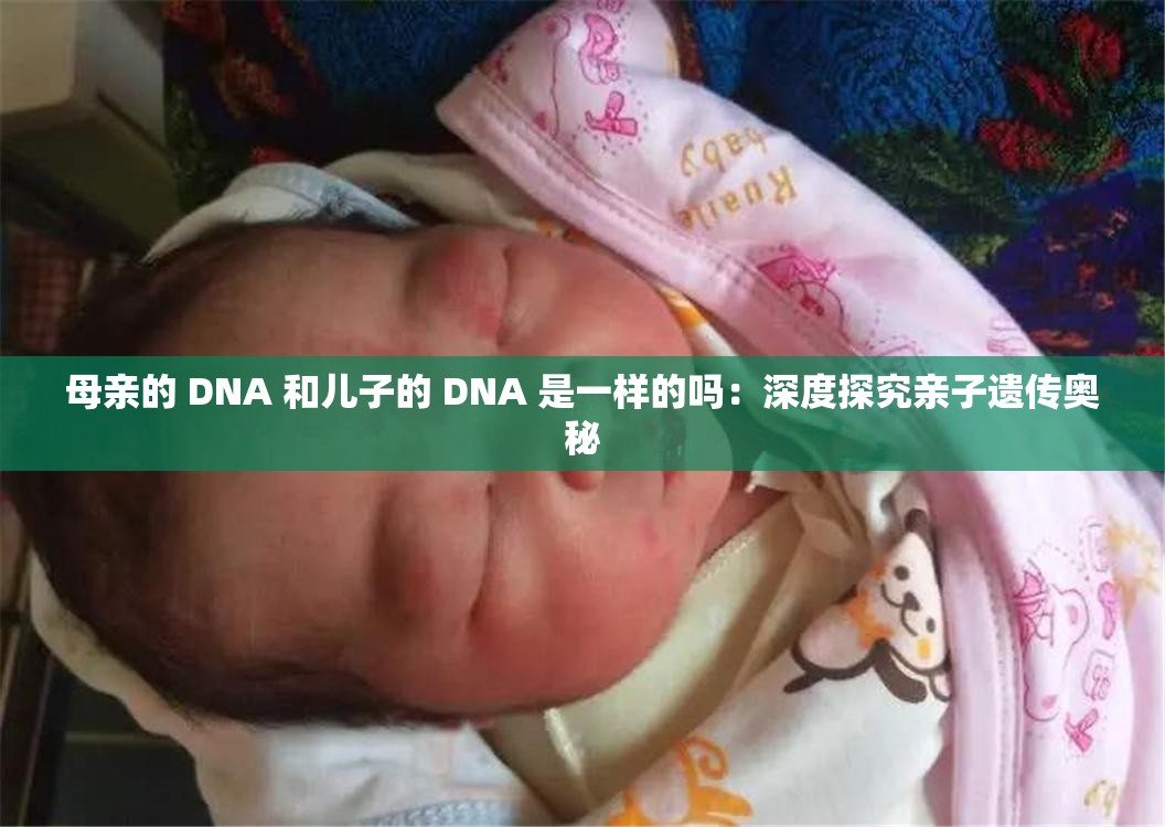 母亲的 DNA 和儿子的 DNA 是一样的吗：深度探究亲子遗传奥秘