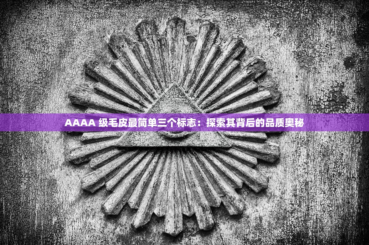 AAAA 级毛皮最简单三个标志：探索其背后的品质奥秘
